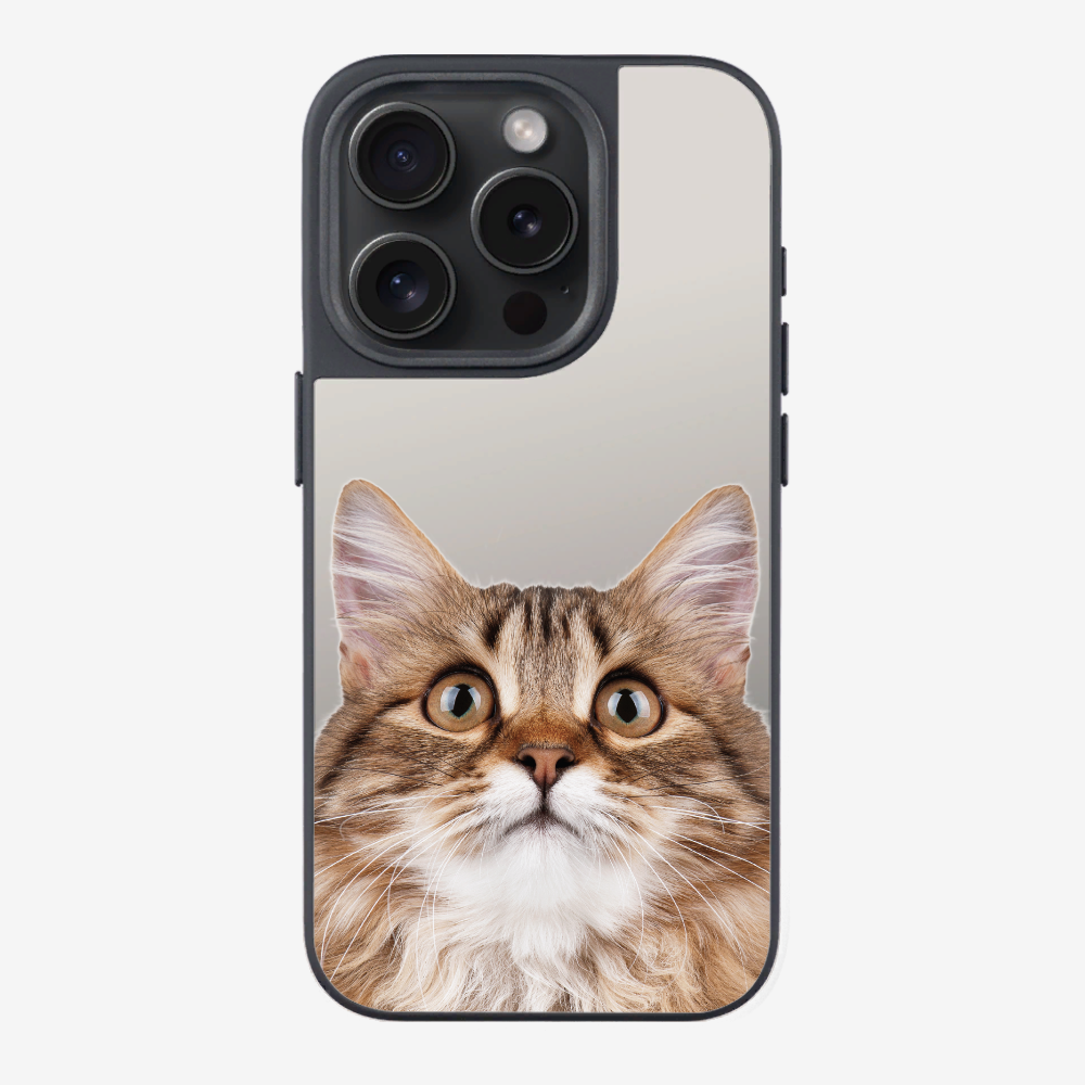 Long-haired Kitten (Transparent) Phone Case