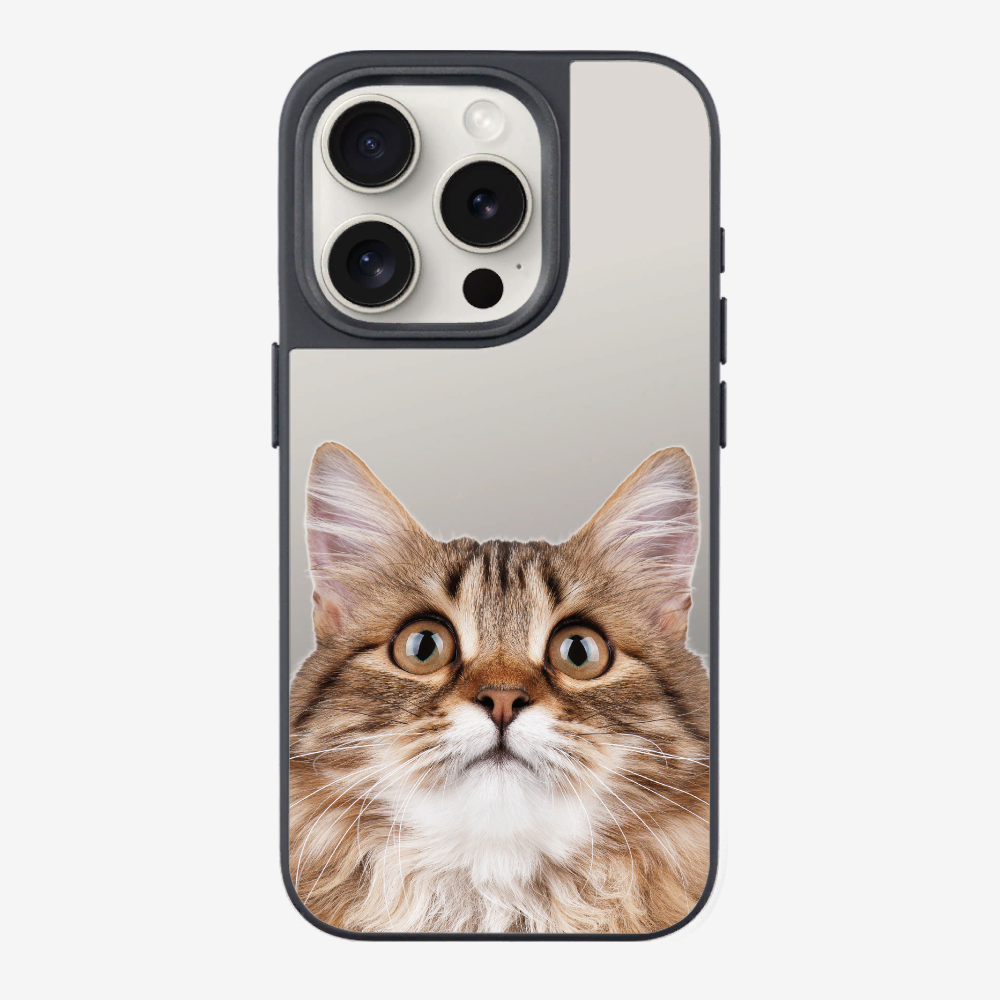 Long-haired Kitten (Transparent) Phone Case