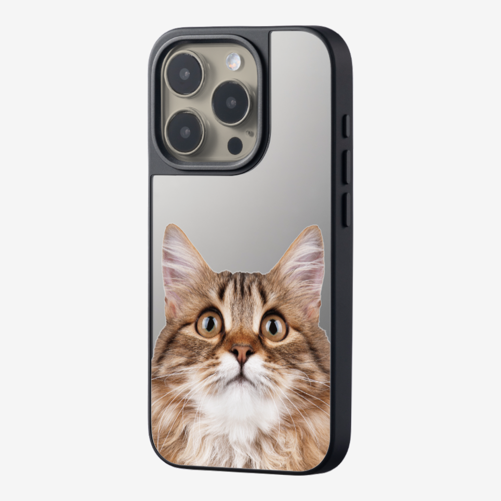 Long-haired Kitten (Transparent) Phone Case