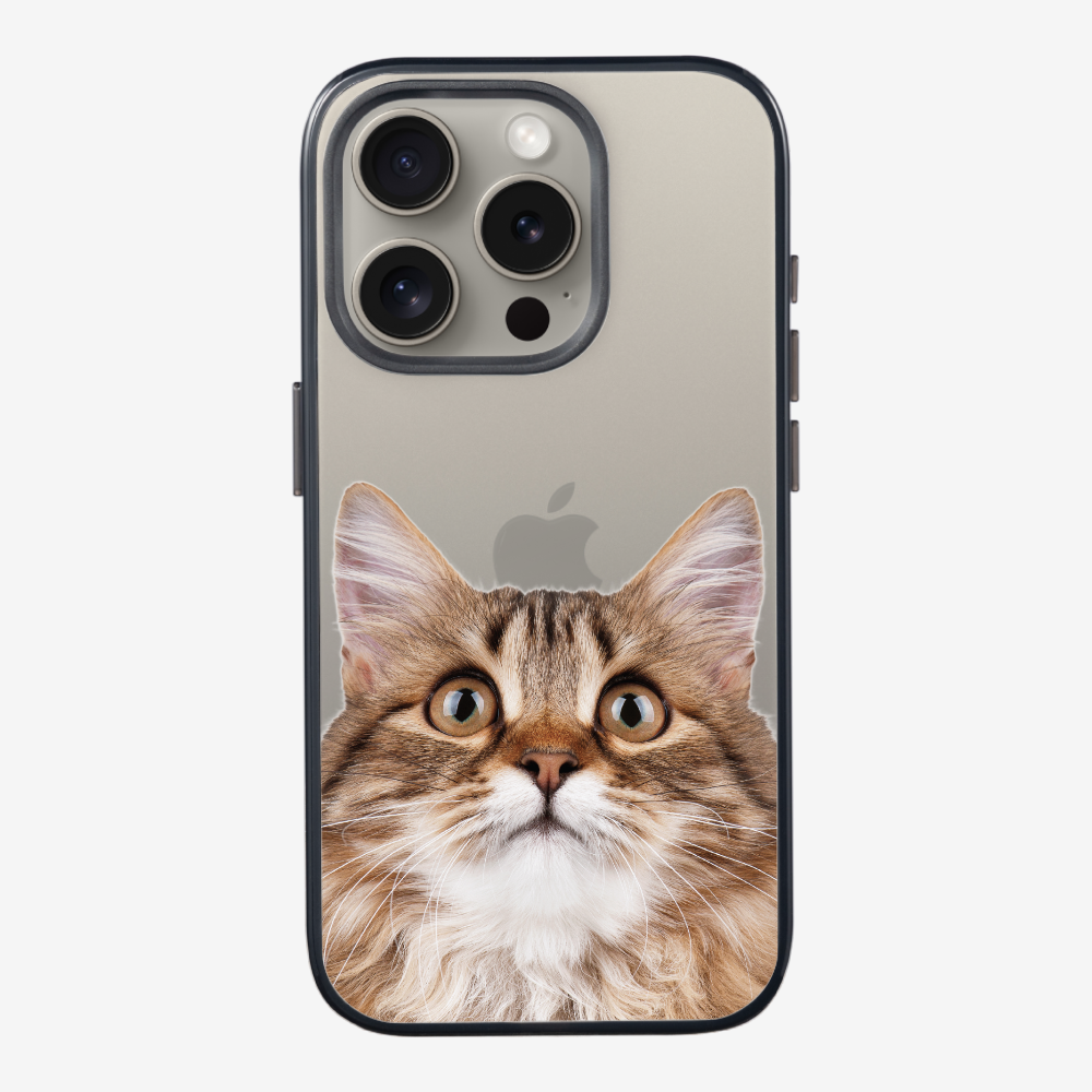 Long-haired Kitten (Transparent) Phone Case