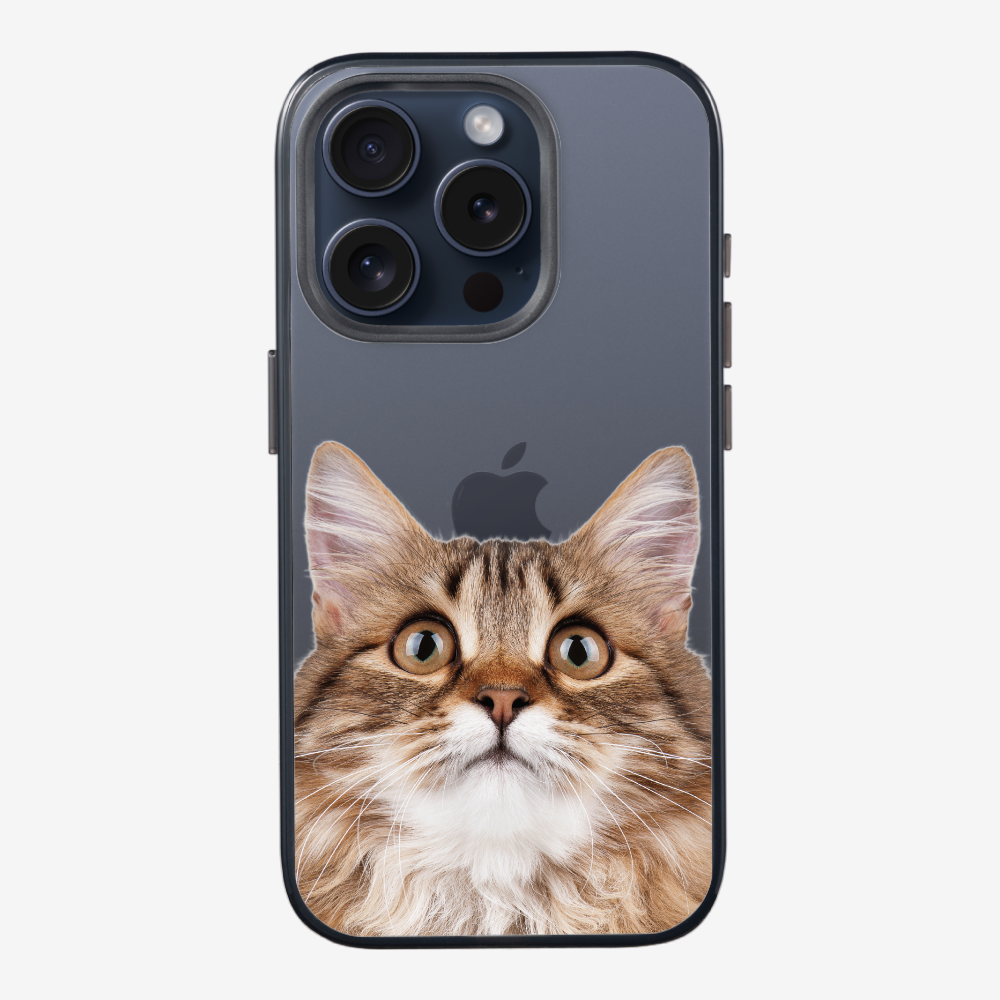 Long-haired Kitten (Transparent) Phone Case