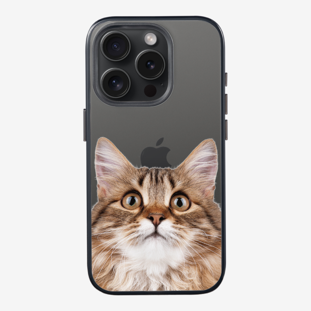 Long-haired Kitten (Transparent) Phone Case