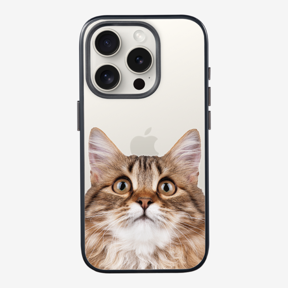 Long-haired Kitten (Transparent) Phone Case