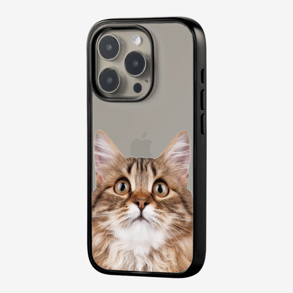 Long-haired Kitten (Transparent) Phone Case