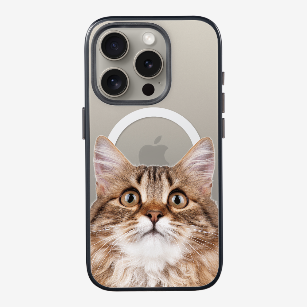 Long-haired Kitten (Transparent) Phone Case