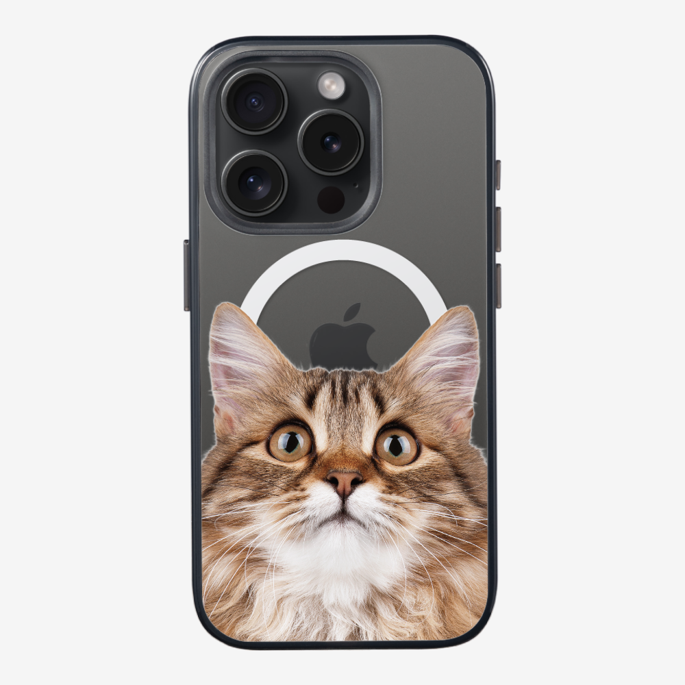 Long-haired Kitten (Transparent) Phone Case