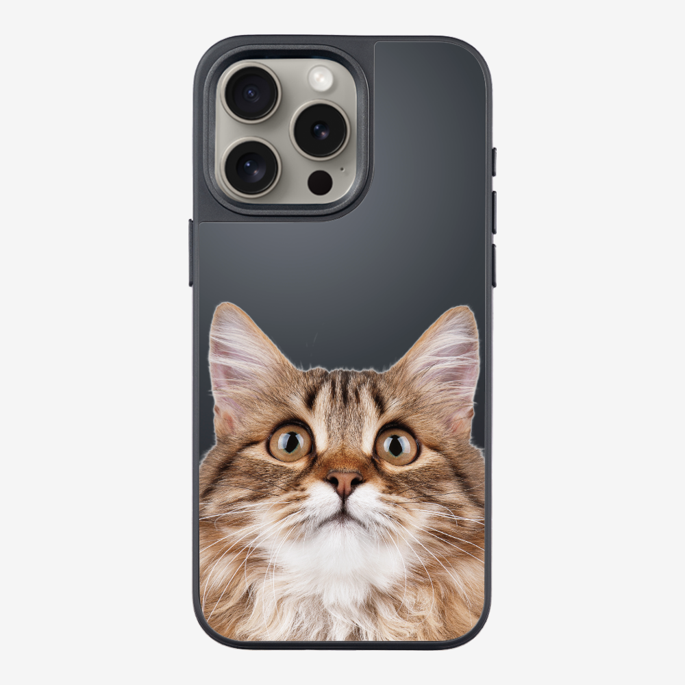 Long-haired Kitten (Transparent) Phone Case