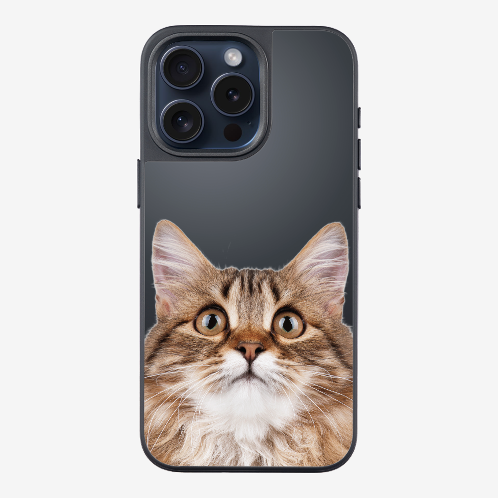 Long-haired Kitten (Transparent) Phone Case