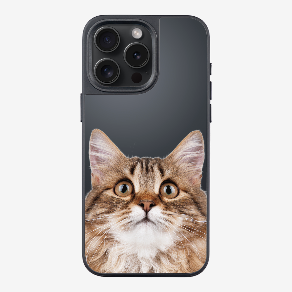 Long-haired Kitten (Transparent) Phone Case