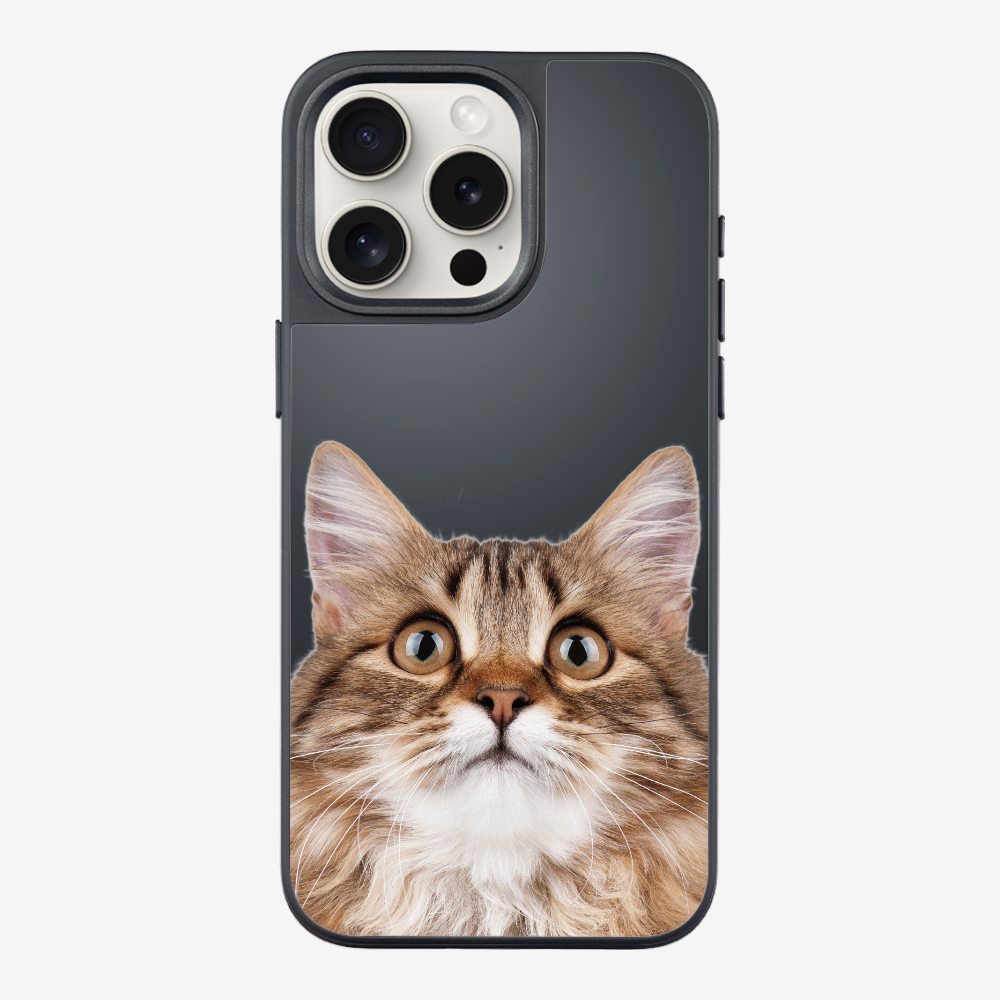 Long-haired Kitten (Transparent) Phone Case