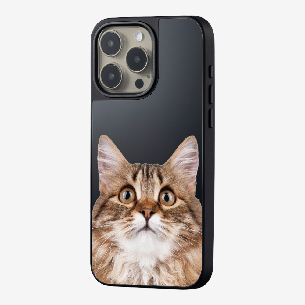 Long-haired Kitten (Transparent) Phone Case