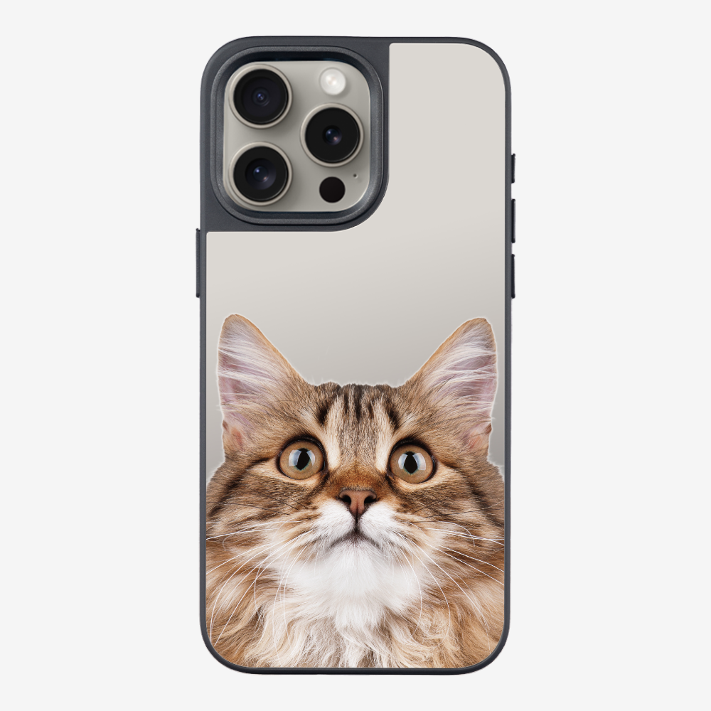 Long-haired Kitten (Transparent) Phone Case