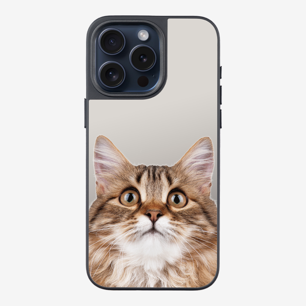 Long-haired Kitten (Transparent) Phone Case