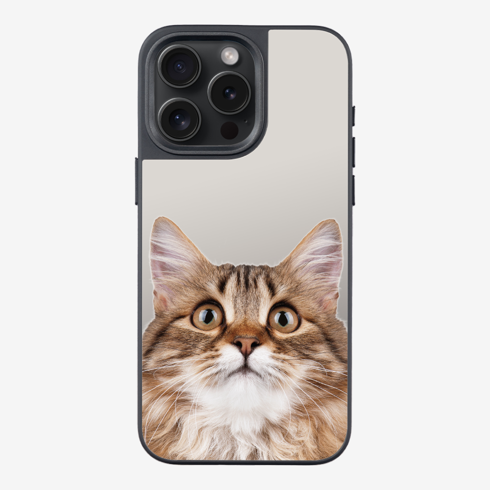 Long-haired Kitten (Transparent) Phone Case