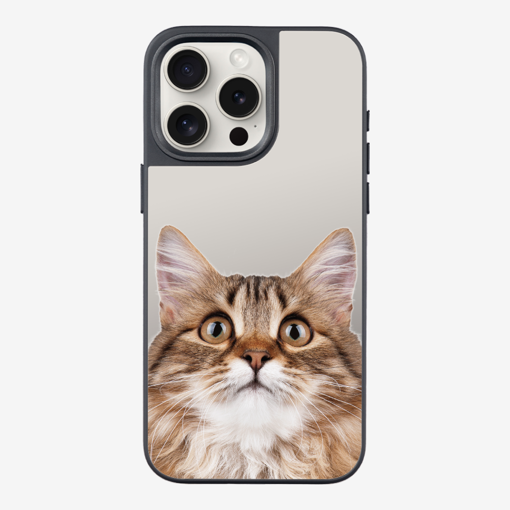 Long-haired Kitten (Transparent) Phone Case