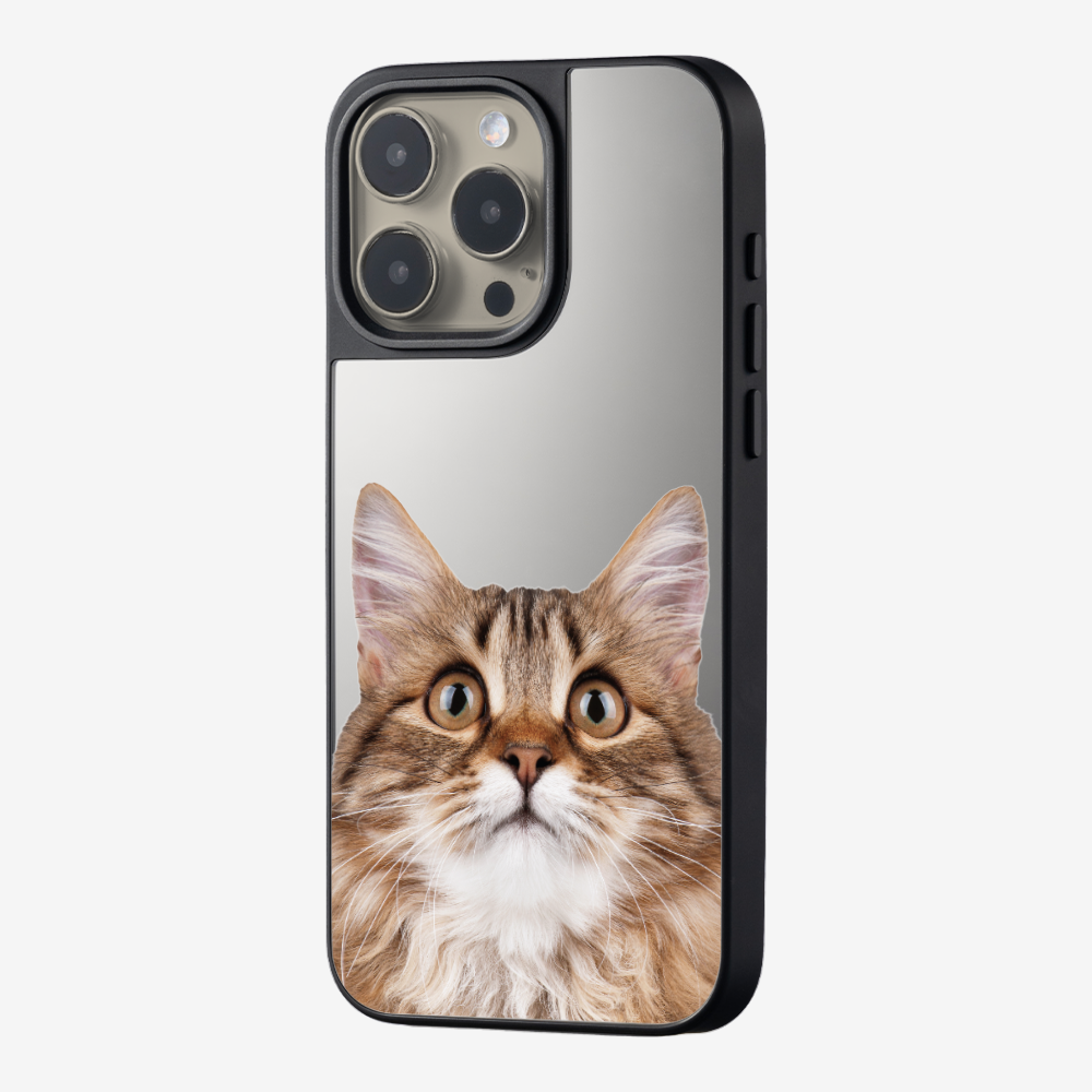 Long-haired Kitten (Transparent) Phone Case