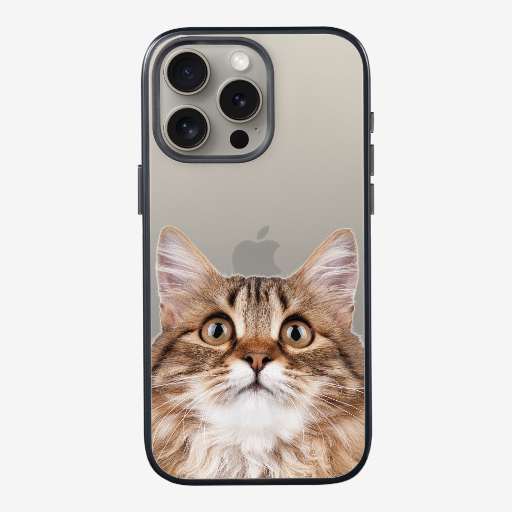 Long-haired Kitten (Transparent) Phone Case