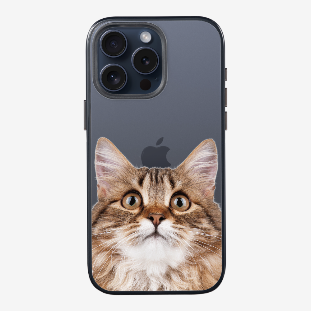 Long-haired Kitten (Transparent) Phone Case