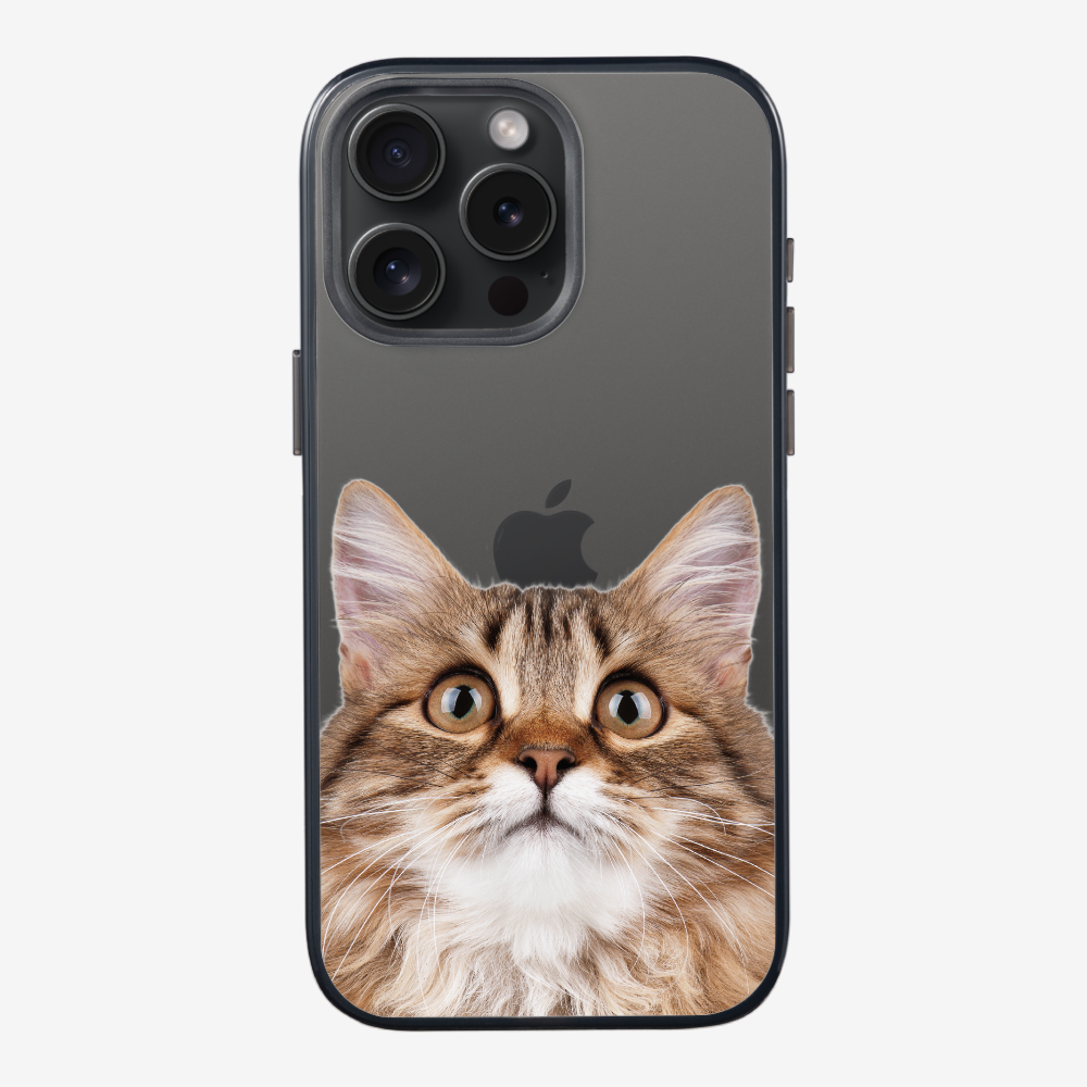 Long-haired Kitten (Transparent) Phone Case