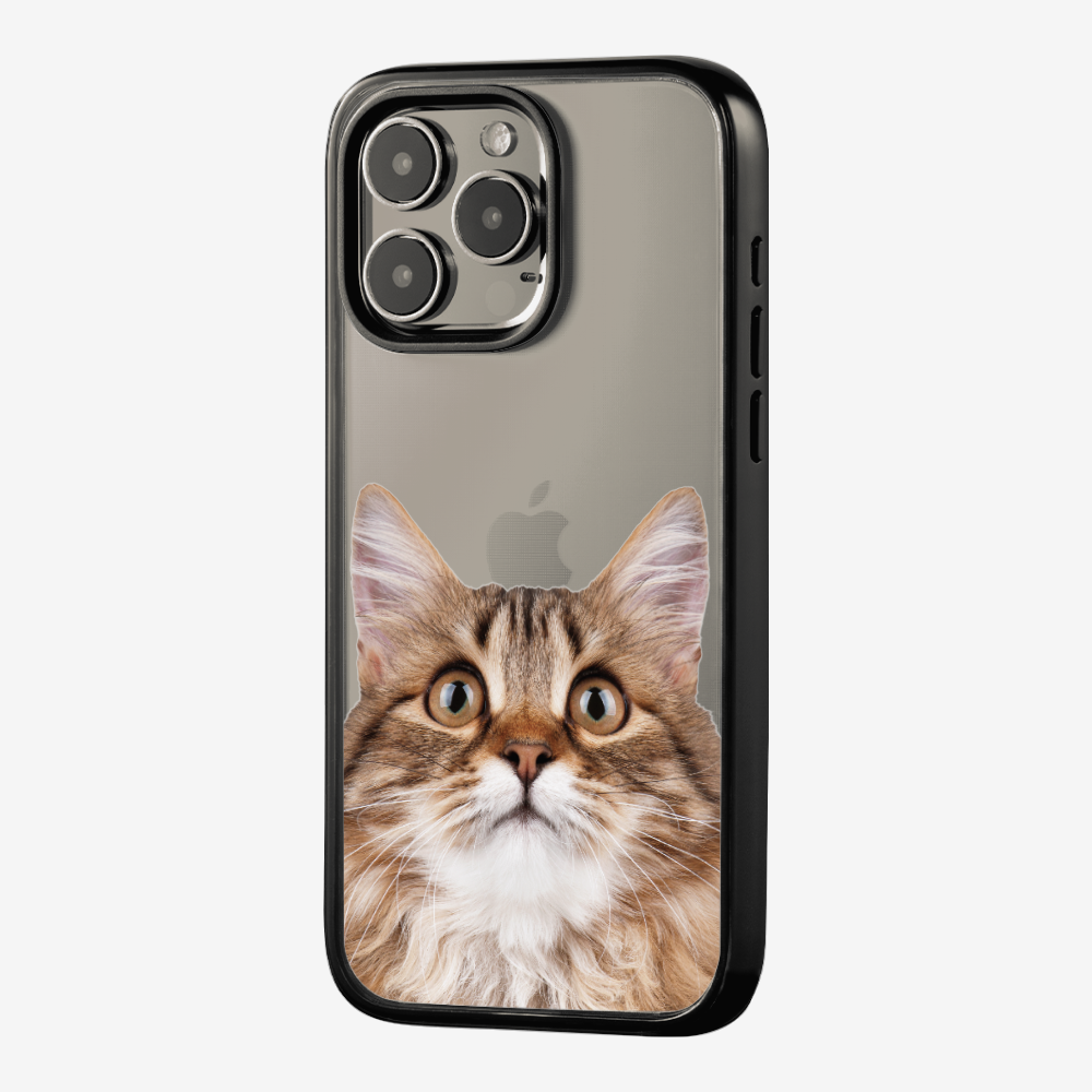 Long-haired Kitten (Transparent) Phone Case