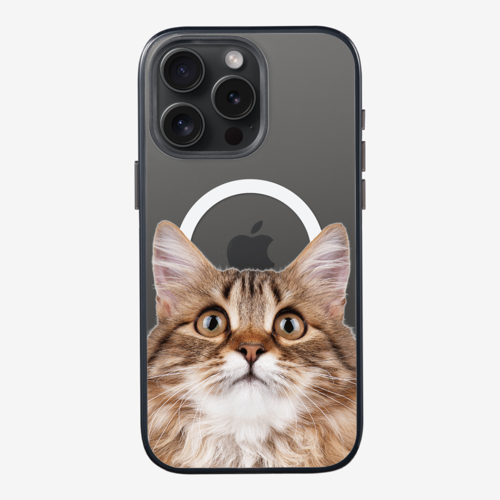 Long-haired Kitten (Transparent) Phone Case