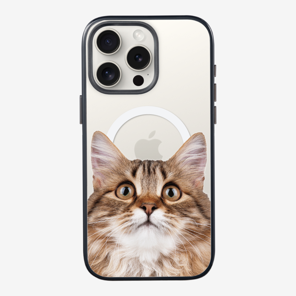 Long-haired Kitten (Transparent) Phone Case