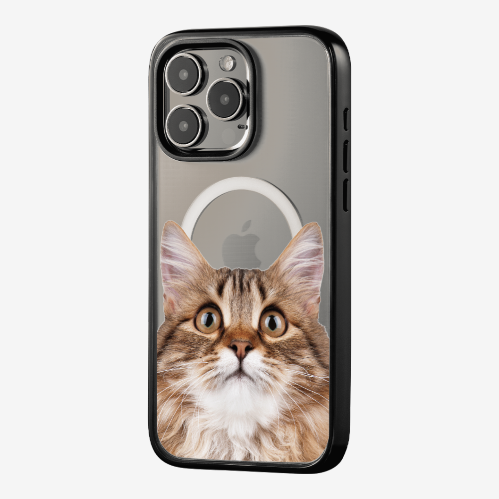 Long-haired Kitten (Transparent) Phone Case