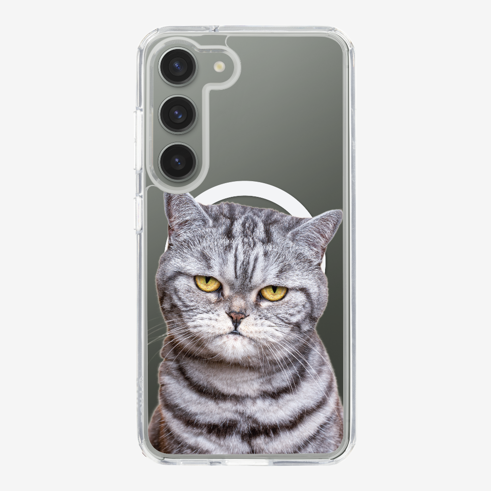 Silver Tabby (Transparent) Phone Case