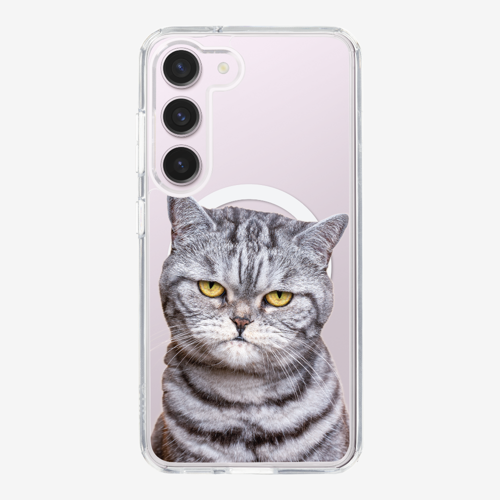 Silver Tabby (Transparent) Phone Case