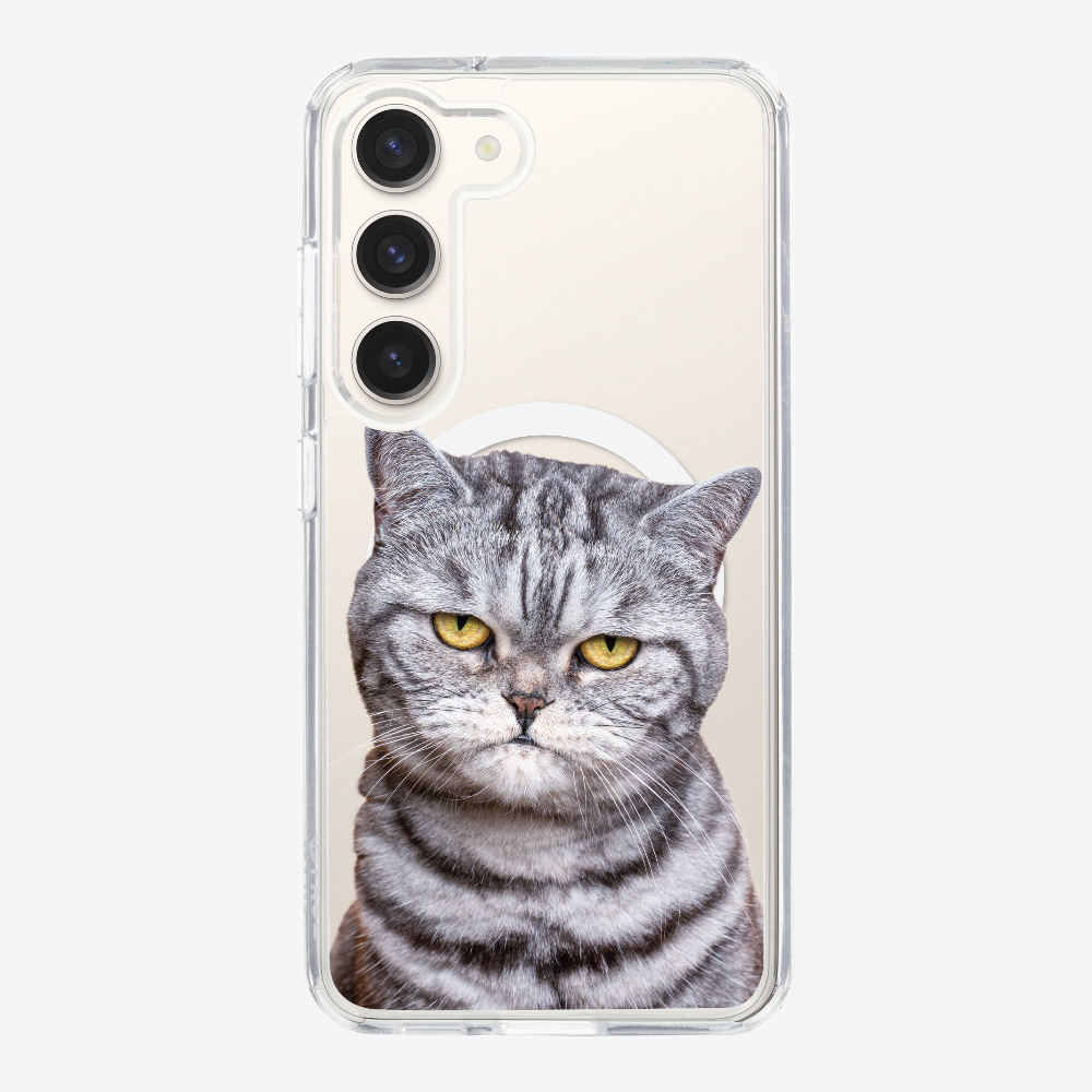 Silver Tabby (Transparent) Phone Case