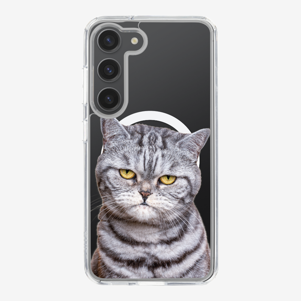 Silver Tabby (Transparent) Phone Case