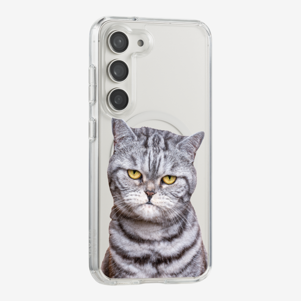 Silver Tabby (Transparent) Phone Case