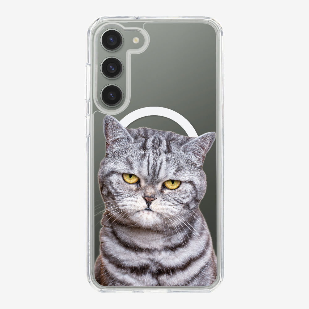 Silver Tabby (Transparent) Phone Case