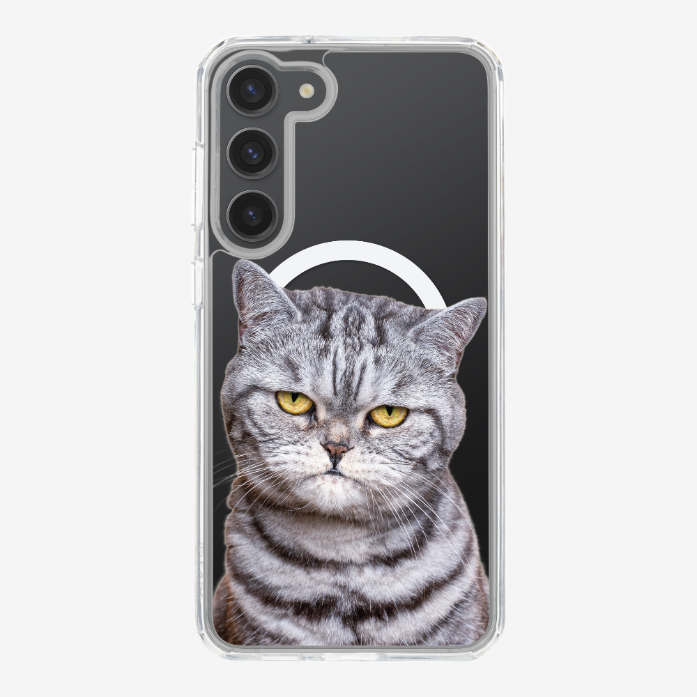 Silver Tabby (Transparent) Phone Case