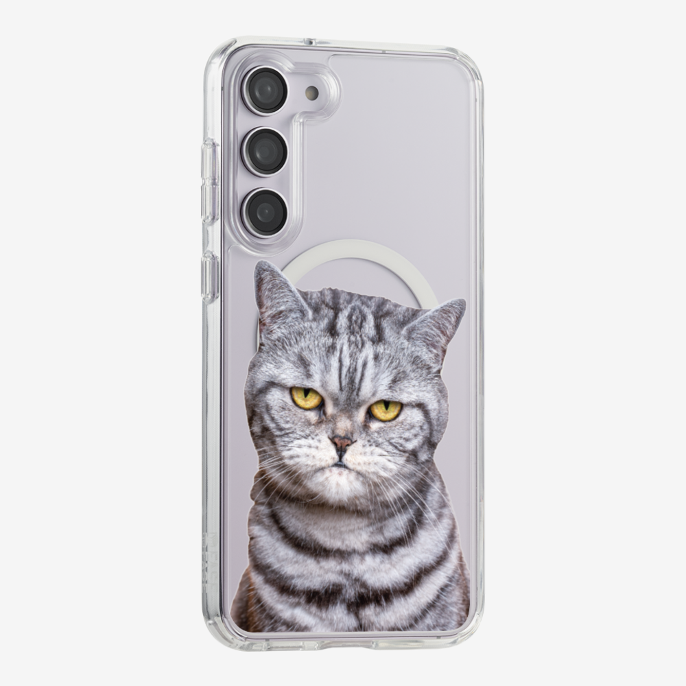 Silver Tabby (Transparent) Phone Case