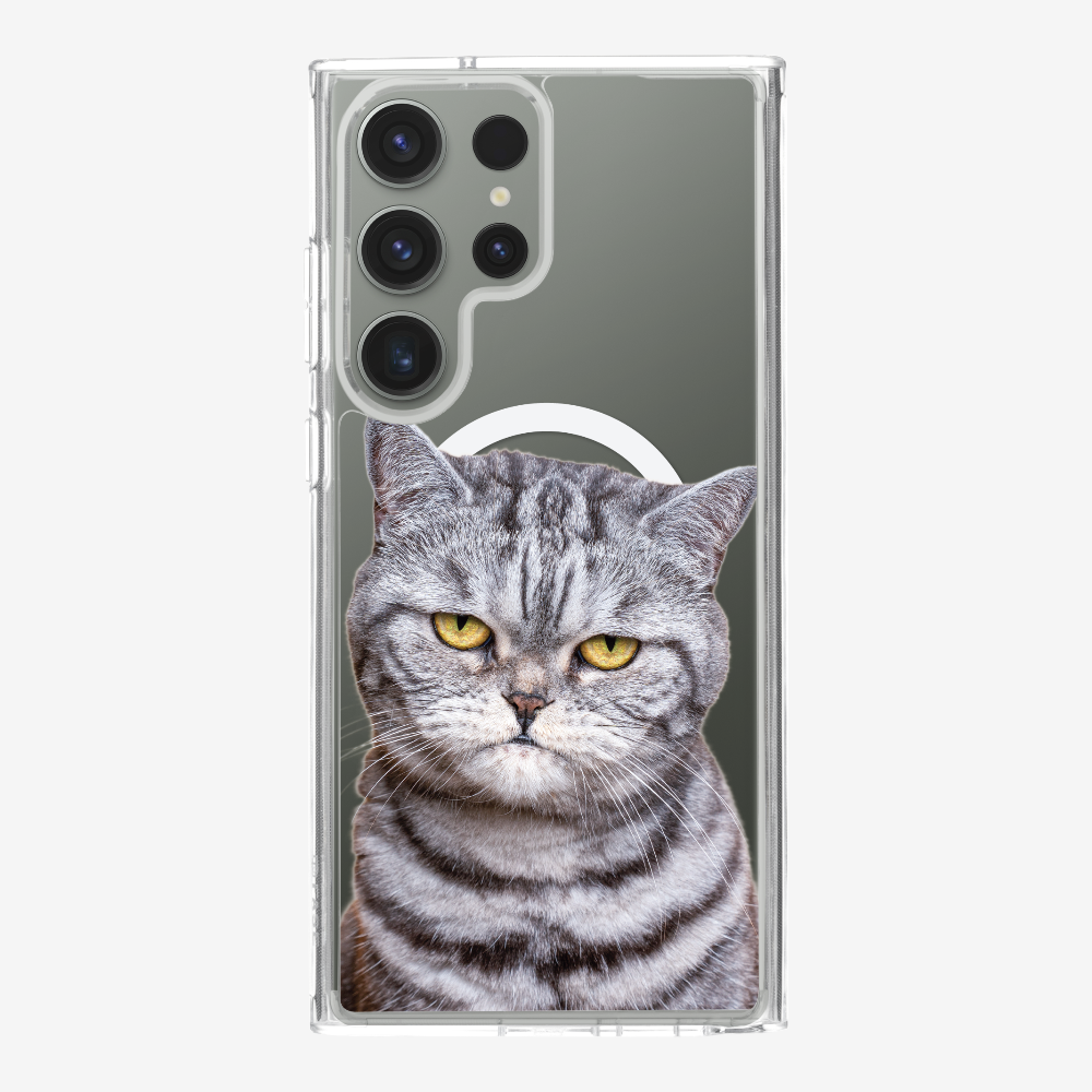 Silver Tabby (Transparent) Phone Case