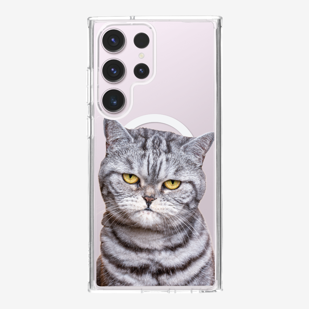 Silver Tabby (Transparent) Phone Case