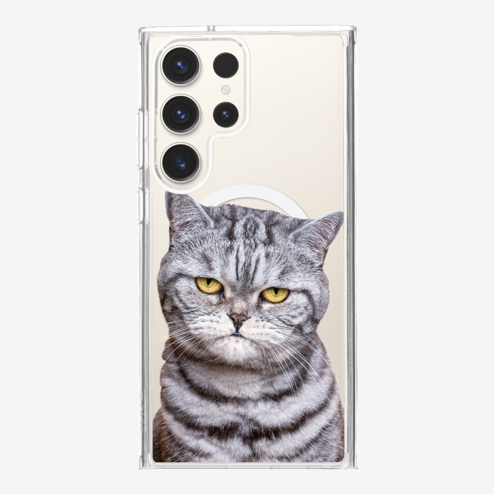 Silver Tabby (Transparent) Phone Case