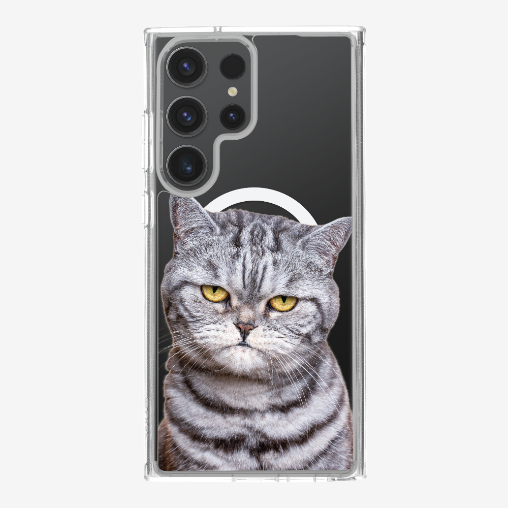 Silver Tabby (Transparent) Phone Case