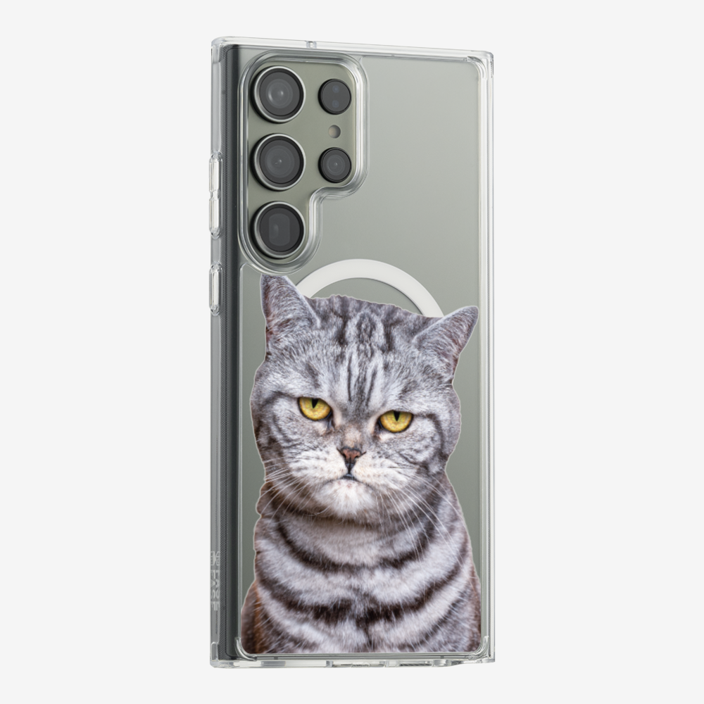 Silver Tabby (Transparent) Phone Case