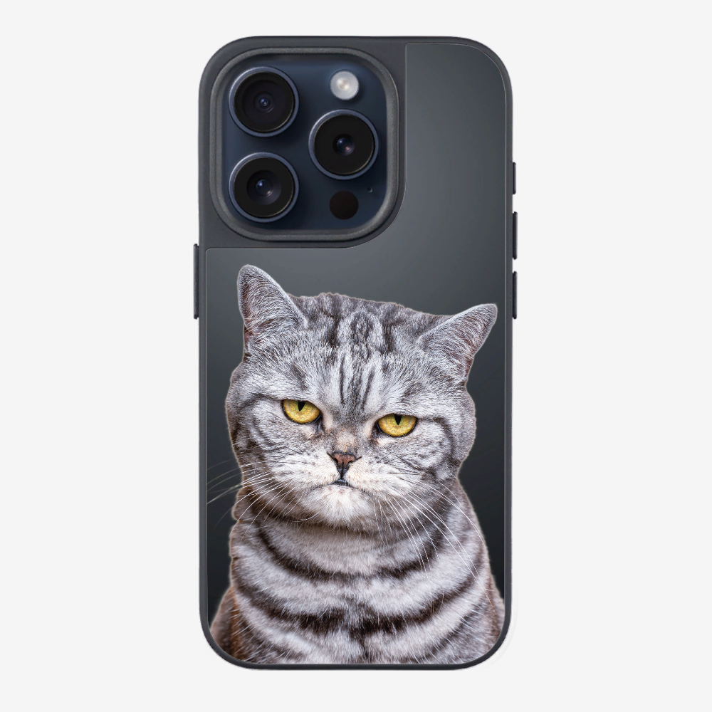 Silver Tabby (Transparent) Phone Case