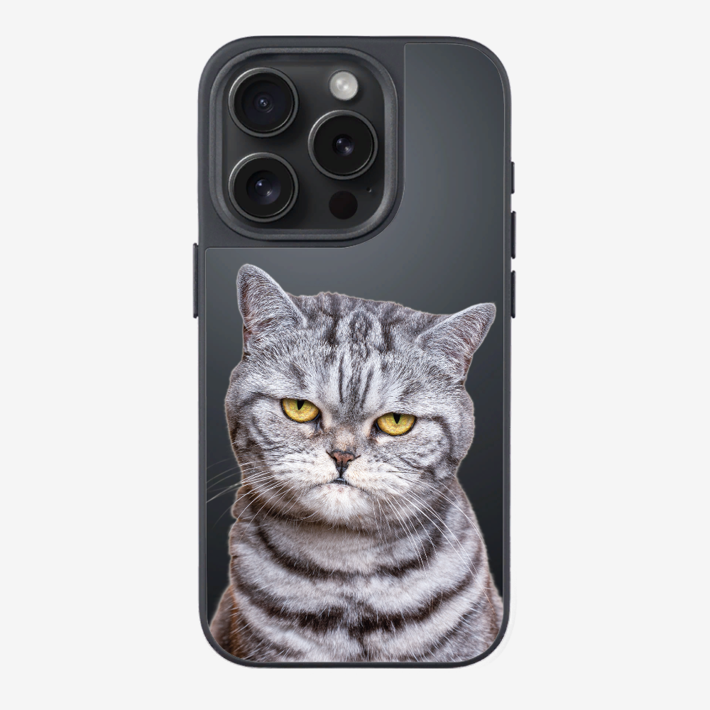 Silver Tabby (Transparent) Phone Case