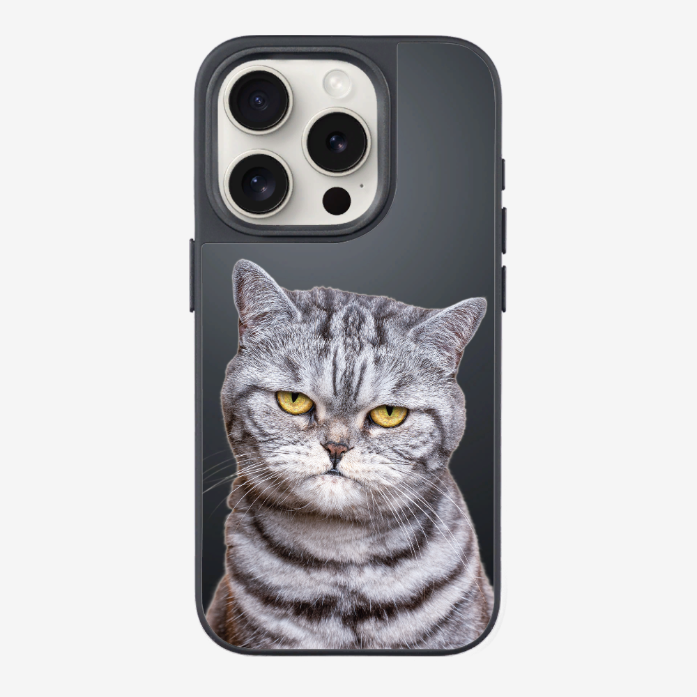 Silver Tabby (Transparent) Phone Case