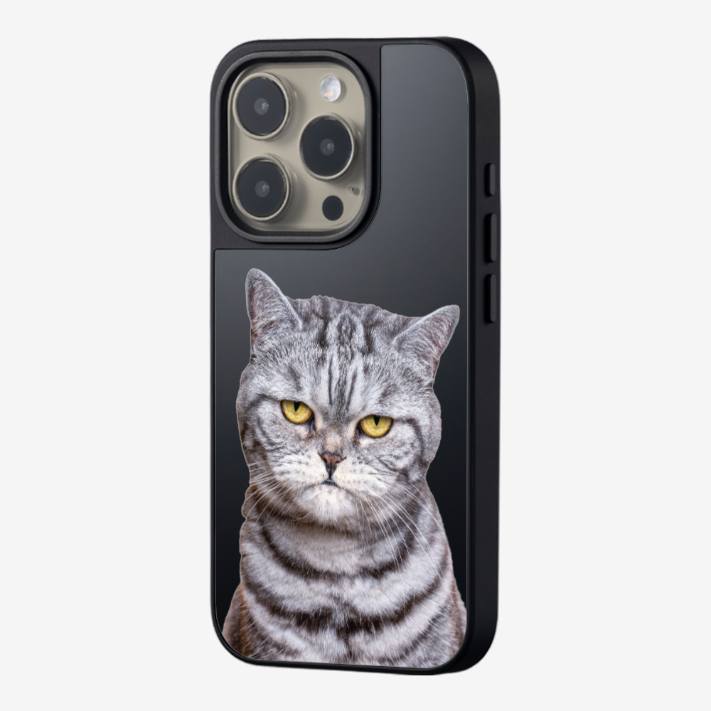 Silver Tabby (Transparent) Phone Case