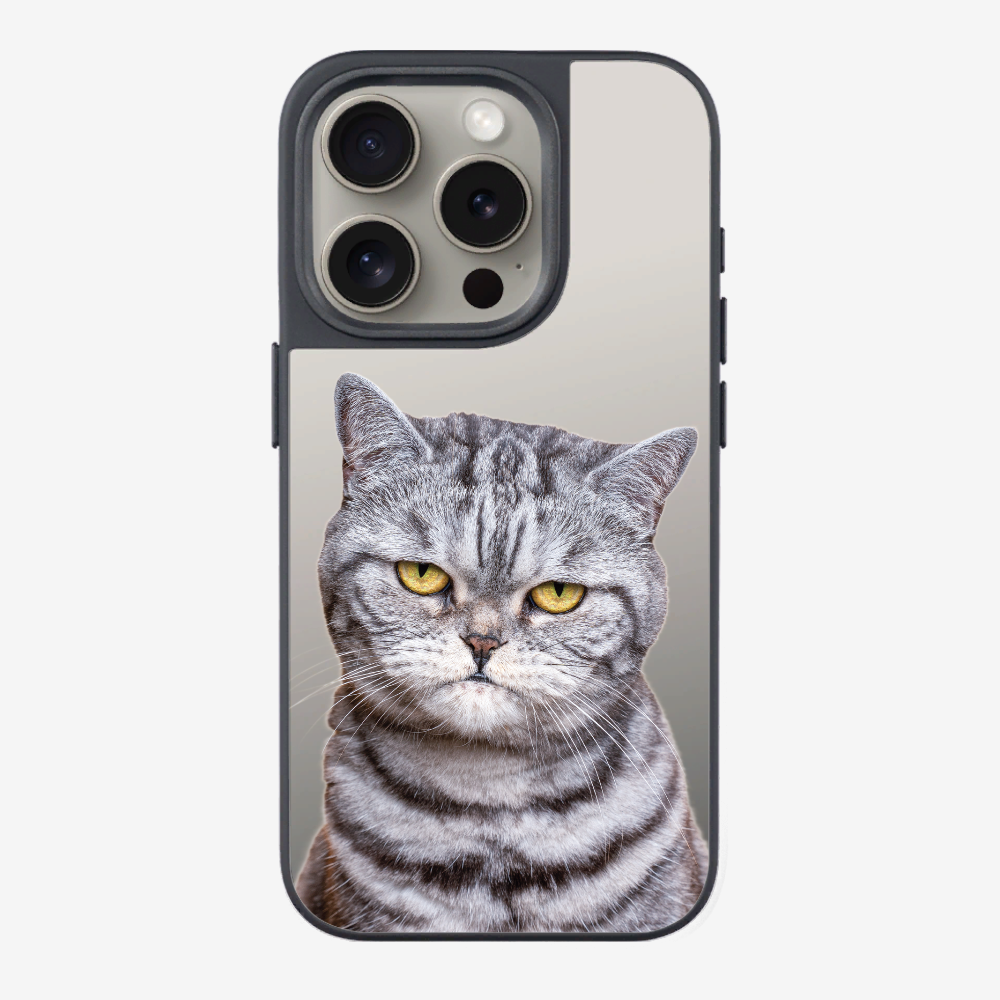 Silver Tabby (Transparent) Phone Case