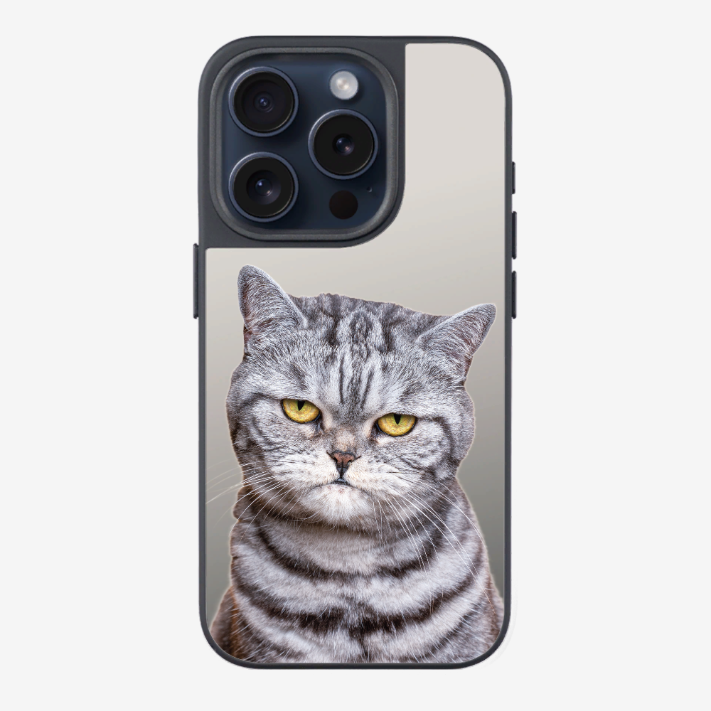 Silver Tabby (Transparent) Phone Case