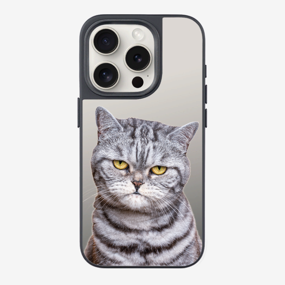 Silver Tabby (Transparent) Phone Case