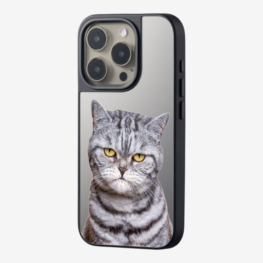 Silver Tabby (Transparent) Phone Case