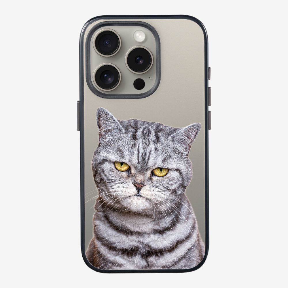 Silver Tabby (Transparent) Phone Case