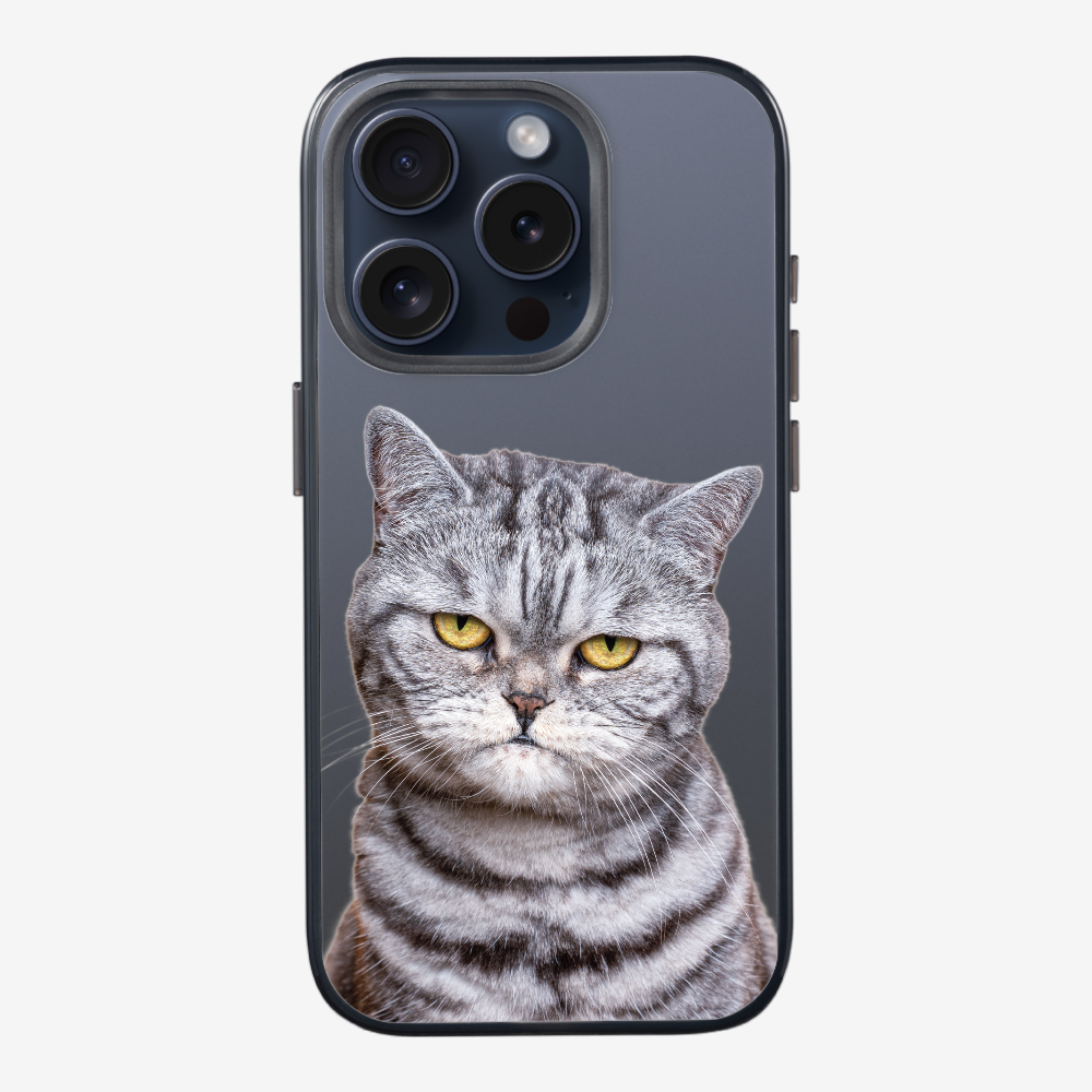 Silver Tabby (Transparent) Phone Case